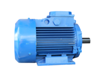 AИР 315 S6 IM 3081 (фланец)